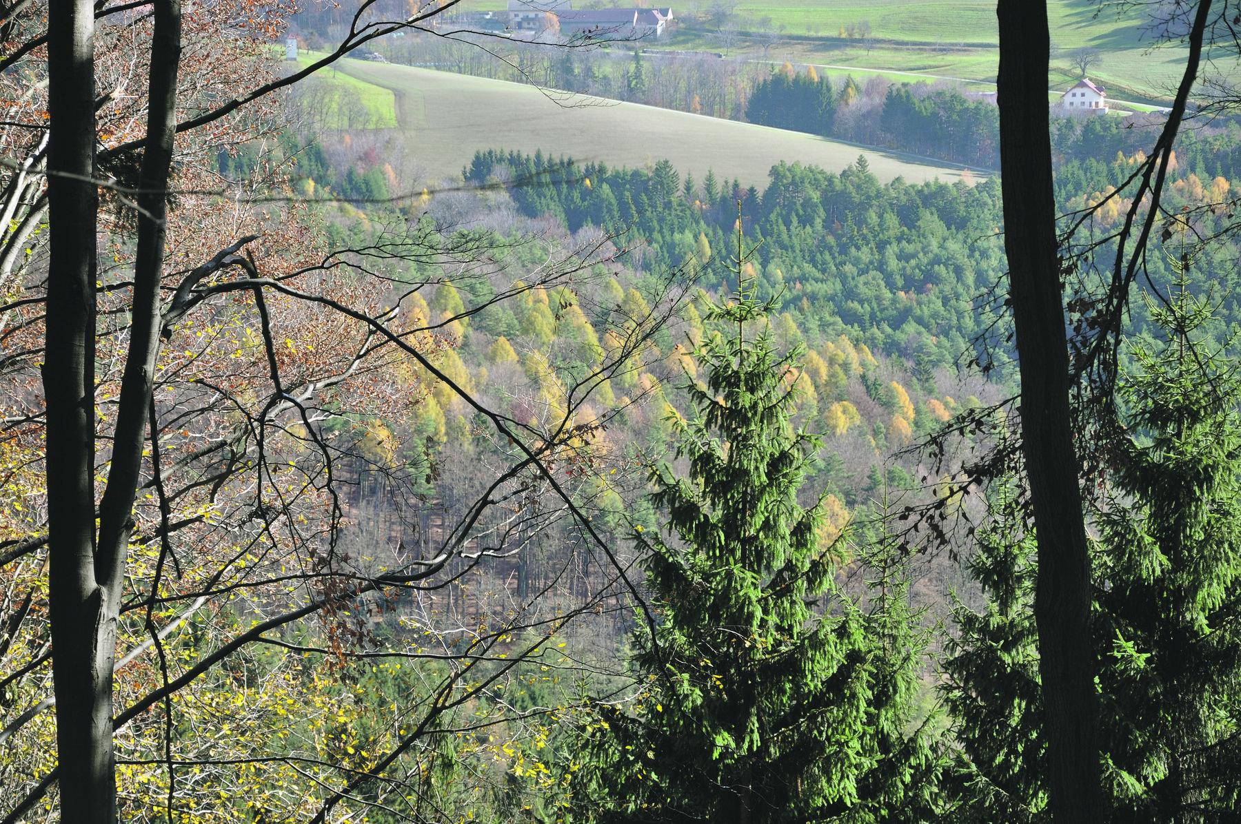 © LK NÖ/Grünwald © LK NÖ/Grünwald