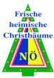 Bild: ARGE NÖ Christbaum- und Schmuckreisigproduzenten Bild: ARGE NÖ Christbaum- und Schmuckreisigproduzenten
