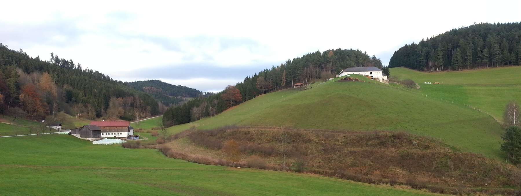 ÖPUL  © Ing. Karl Thumfart ÖPUL  © Ing. Karl Thumfart