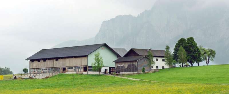 Bauernhof.jpg © LK OÖ Bauernhof.jpg © LK OÖ