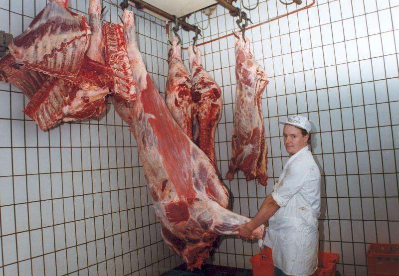 Fleischer bei der Rindfleischbeschau.jpg © LK NÖ