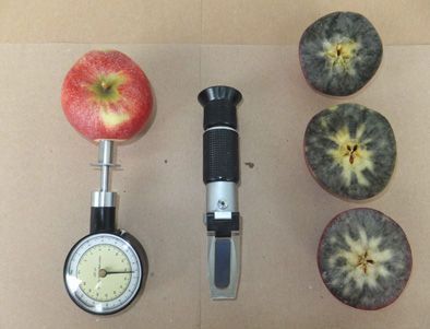 © Penetrometer, Refraktometer und Jod/Stärketest im Überblick (C) Norbert Fischer © Penetrometer, Refraktometer und Jod/Stärketest im Überblick (C) Norbert Fischer