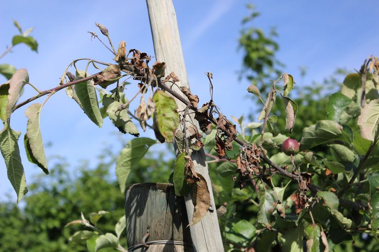 © Archiv © Archiv