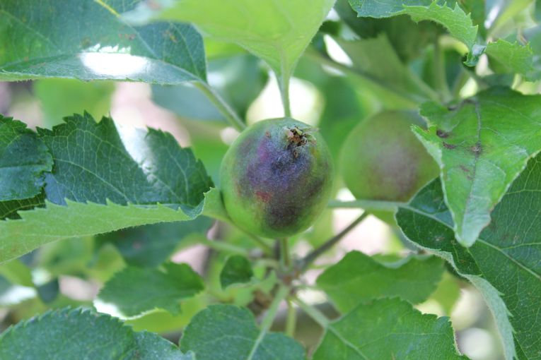 © Archiv © Archiv