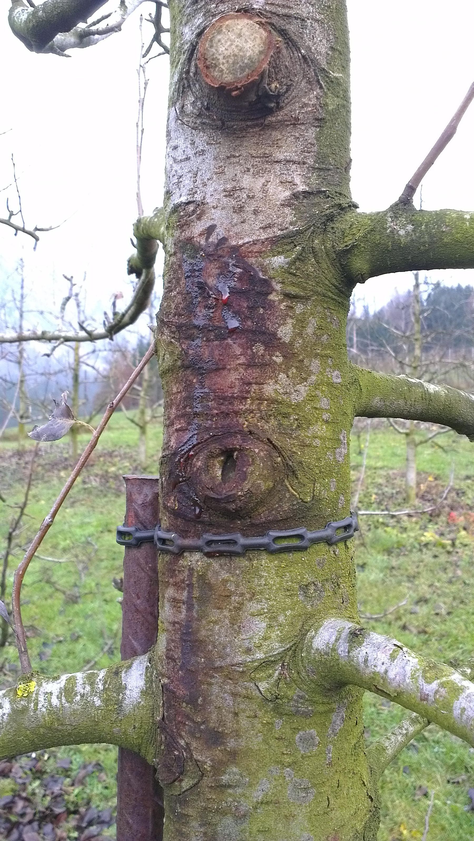 © Andreas Tschöll © Andreas Tschöll