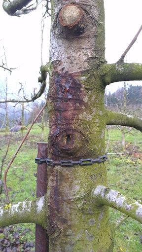 © Andreas Tschöll © Andreas Tschöll