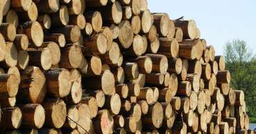 Rundholzpolter.jpg © Anna Schreiner Rundholzpolter.jpg © Anna Schreiner