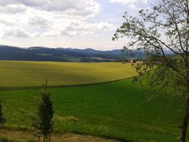 Ist das Grundstück als unteilbar anzusehen ist eine Teilkündigung
nicht möglich © LK OÖ, Mag. Lisa Perner Ist das Grundstück als unteilbar anzusehen ist eine Teilkündigung
nicht möglich © LK OÖ, Mag. Lisa Perner