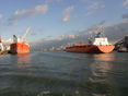 Hafen Rotterdam © Nemestothy/LKÖ