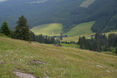 Die Landwirtschaft ist die Grundlage für den heutigen Nationalpark Hohe Tauern. © Grabler