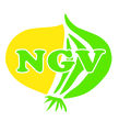Bild: Niederösterreichischer Gemüsebauverband Bild: Niederösterreichischer Gemüsebauverband