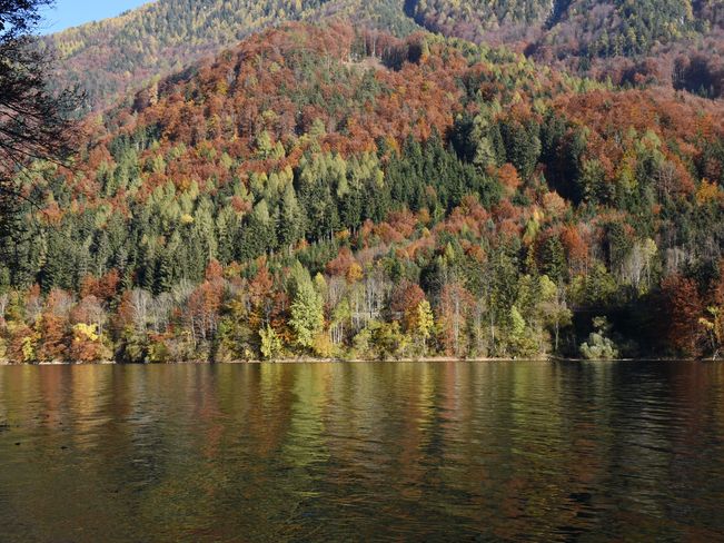 Auch Kärnten hat zahlreiche neue Natura 2000-Gebiete nominiert (Symbolbild).  © LK Kärnten/Kuneth