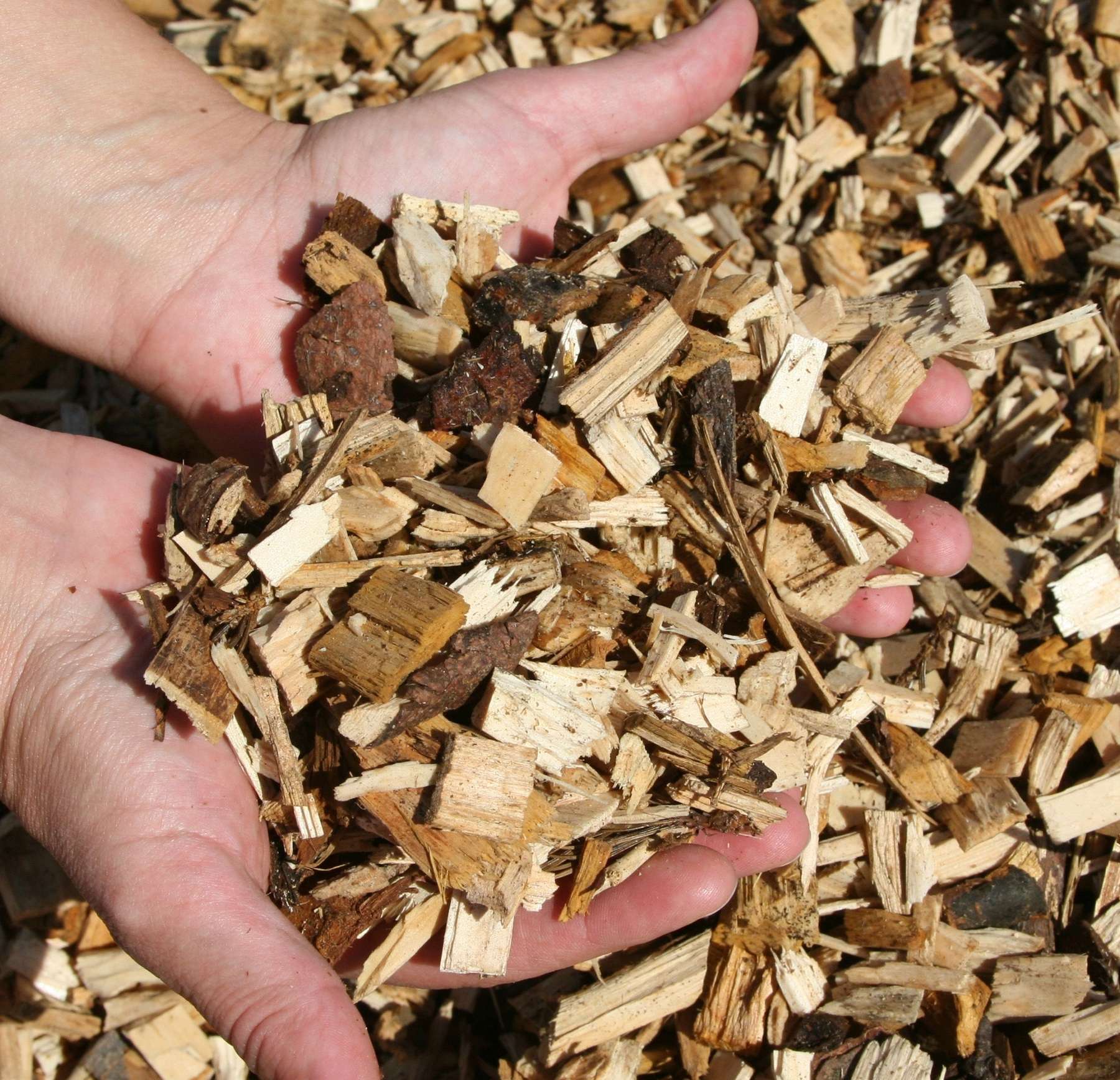 Bioenergie_Vorschau.jpg © Bilderbox Bioenergie_Vorschau.jpg © Bilderbox