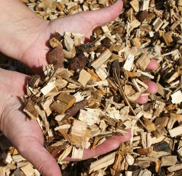 Bioenergie_Vorschau.jpg © Bilderbox Bioenergie_Vorschau.jpg © Bilderbox