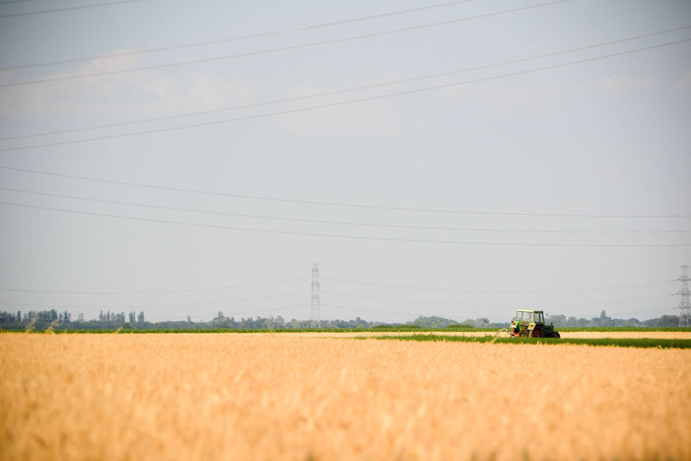Landwirtschaft.jpg © LK Wien Landwirtschaft.jpg © LK Wien