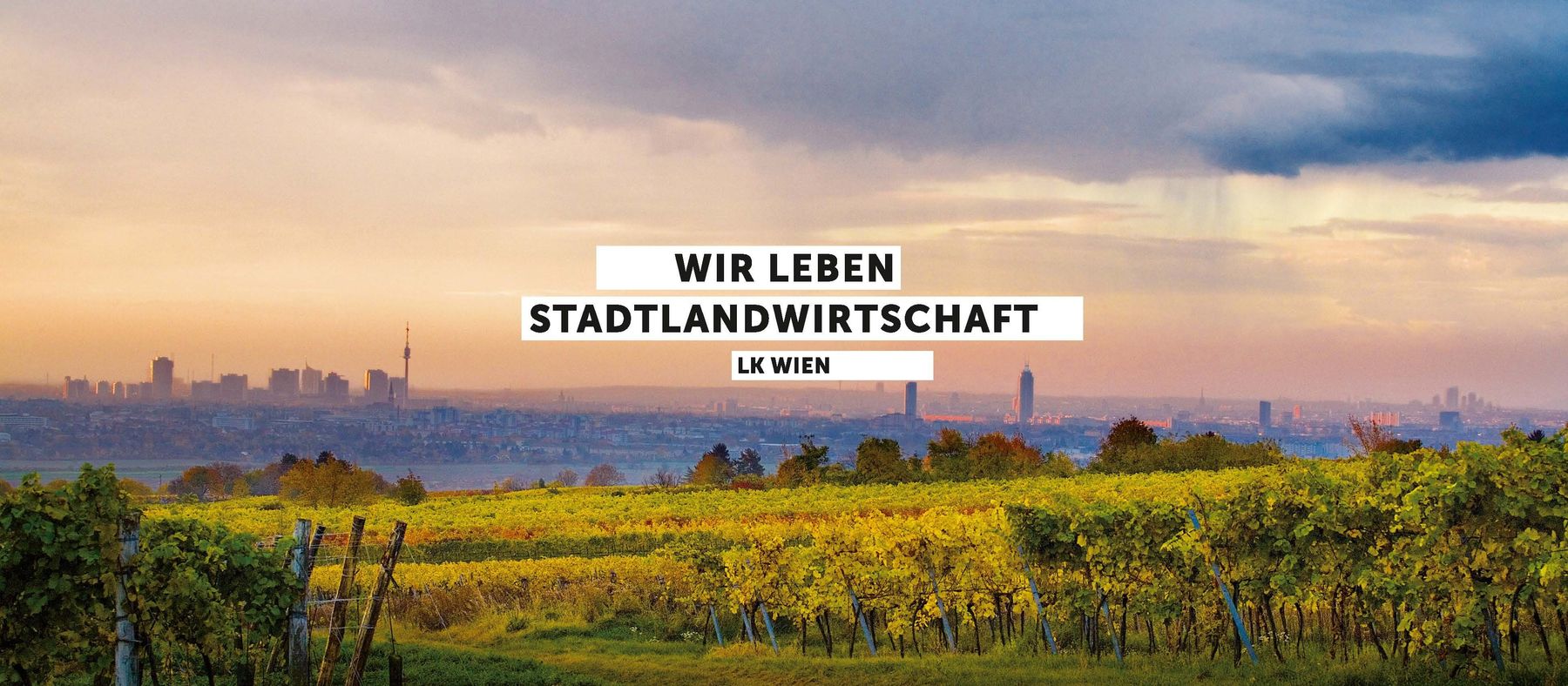 Stadtlandwirtschaft.jpg © www.karinnussbaumer.com Stadtlandwirtschaft.jpg © www.karinnussbaumer.com