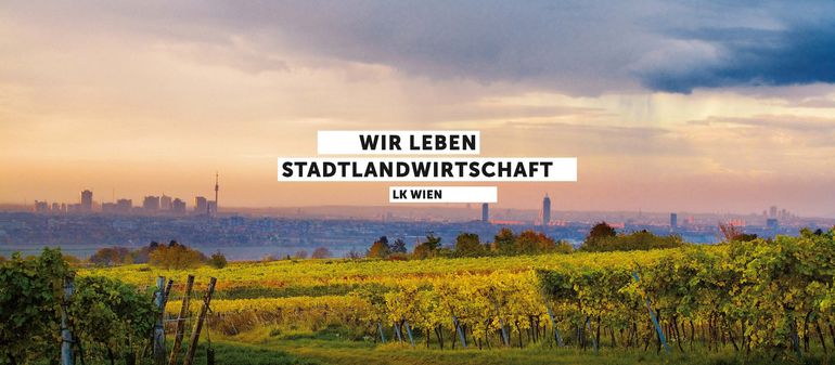 Stadtlandwirtschaft.jpg © OEWM Lammerhuber Stadtlandwirtschaft.jpg © OEWM Lammerhuber