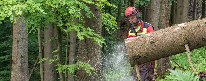 Web Header Forst Arbeits- Forsttechnik © LK Oberösterreich