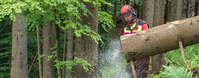 Sub-Forst-Technik © LK Oberösterreich