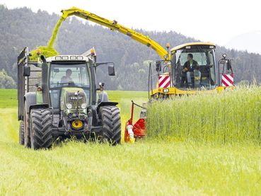 futterzwischenfrüchte2.jpg © LK Kärnten/Egger