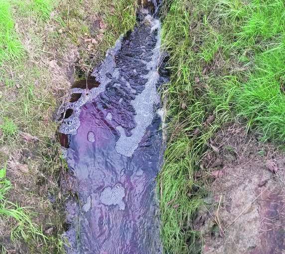 © Kirchmaier/Archiv Aqua