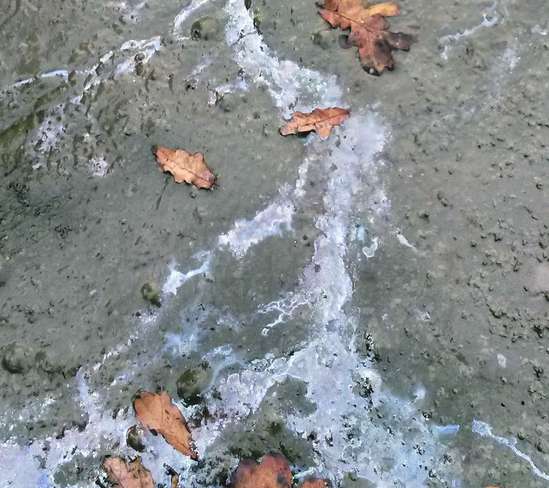 Biofilme von eisenoxidierenden Mikroorganismen an der Wasseroberfläche von Restwasser auf dem Teichboden zeigen einen hohen Eisengehalt des Untergrundes an. © Kirchmaier/Archiv Aqua Biofilme von eisenoxidierenden Mikroorganismen an der Wasseroberfläche von Restwasser auf dem Teichboden zeigen einen hohen Eisengehalt des Untergrundes an. © Kirchmaier/Archiv Aqua