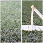 Die Gülle wurde am 4. Oktober bei einer Bestandshöhe von 4 bis
6 cm ausgebracht, durch den Frost wird das Wachstum eingestellt,
wobei die optimale Bestandshöhe von 7 bis 10 cm vor dem Winter
noch erreicht wird. © Egger Die Gülle wurde am 4. Oktober bei einer Bestandshöhe von 4 bis
6 cm ausgebracht, durch den Frost wird das Wachstum eingestellt,
wobei die optimale Bestandshöhe von 7 bis 10 cm vor dem Winter
noch erreicht wird. © Egger