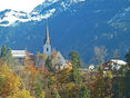 Schutzwald © LK Vorarlberg