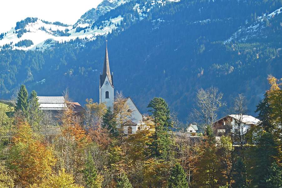 Schutzwald.jpg © LK Vorarlberg