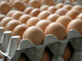 Eier © LK NÖ