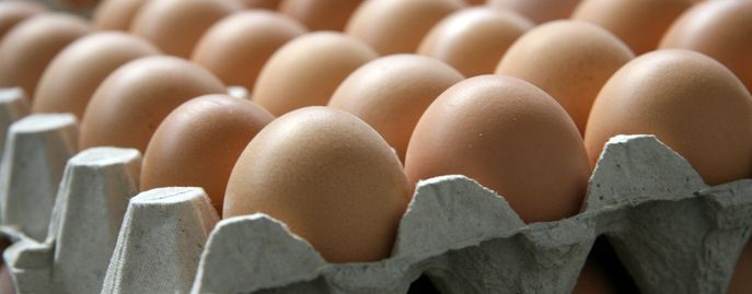 Eier © LK NÖ