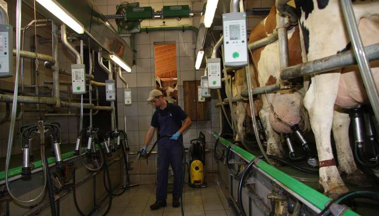 Melkstand_Rinder.jpg © LK OÖ Melkstand_Rinder.jpg © LK OÖ