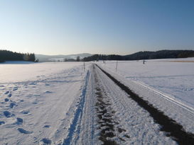 Schneestangen verbessern die Erkennbarkeit des Fahrbahnrandes. © Landwirtschaftskammer OÖ