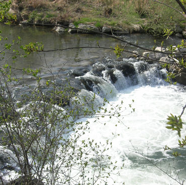 © Landwirtschaftskammer Oberösterreich © Landwirtschaftskammer Oberösterreich