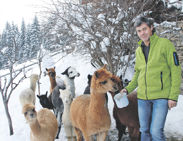 Seit 2013 hält Bernhard Maurer Alpakas. In seiner Landwirtschaft und mit den Tieren geht er voll und ganz auf. © Fürstaller Seit 2013 hält Bernhard Maurer Alpakas. In seiner Landwirtschaft und mit den Tieren geht er voll und ganz auf. © Fürstaller