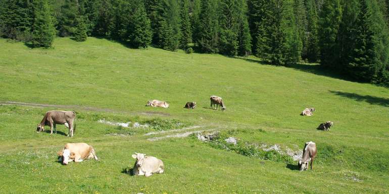 © LK Tirol © LK Tirol