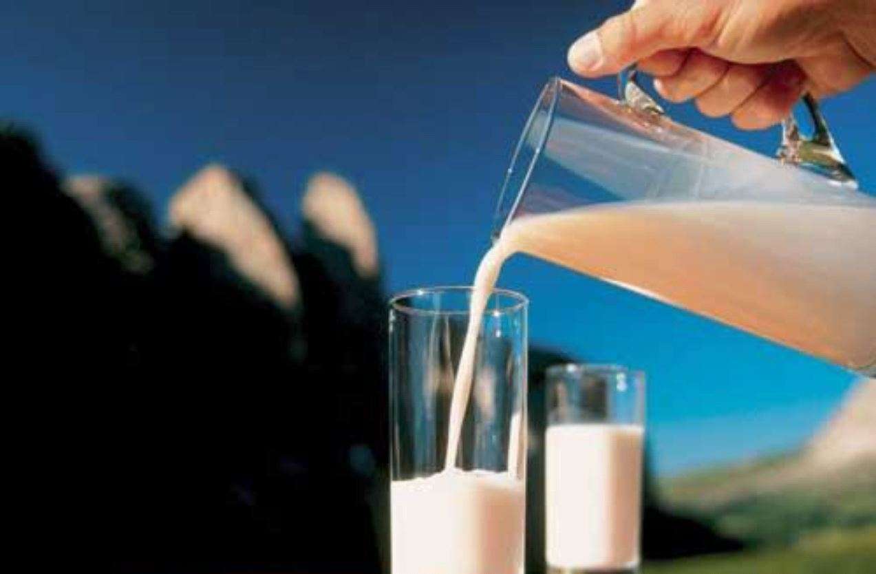 Milch © AMA