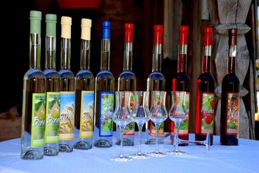 © Landwirtschaftskammer Oberösterreich/Penninger