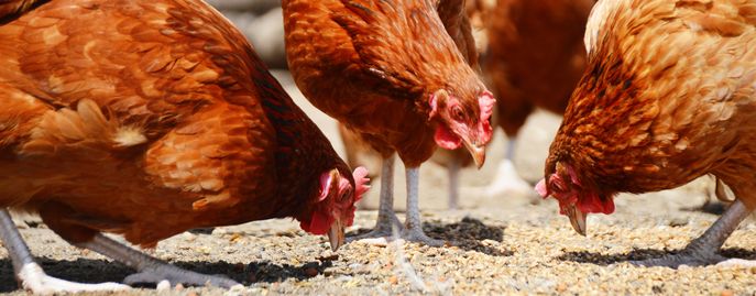 WEBTitelbild_Fotolia_monticellllo_67955103_M © Monticelllo/Fotolia