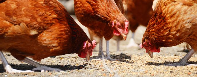 WEBTitelbild_Fotolia_monticellllo_67955103_M © Monticelllo/Fotolia