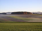 Bei Grundankäufen ist die Lastenfreiheit oberste Priorität. © Ing. Dipl.-Päd. Josef Peterseil, LK OÖ