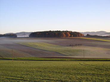 Bei Grundankäufen ist die Lastenfreiheit oberste Priorität. © LK OÖ/Peterseil