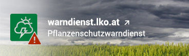 Banner Warndienst 370px © Archiv