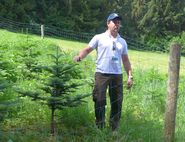 Bei der Neuaufforstung von Grundstücken sind gesetzliche Regelungen einzuhalten..jpg © DI Albert Steinegger Bei der Neuaufforstung von Grundstücken sind gesetzliche Regelungen einzuhalten..jpg © DI Albert Steinegger