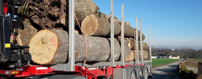 Web Header Forst Holzmarkt © Christian Rottensteiner / LK Oberösterreich