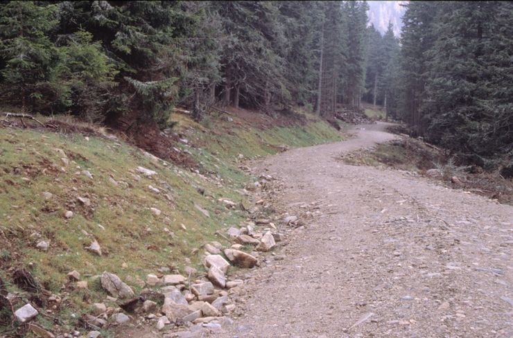 Beim Forstraßenbau sind insbesondere forst- und naturschutzrechtliche Bestimmungen zu beachten. © BMLFUW Beim Forstraßenbau sind insbesondere forst- und naturschutzrechtliche Bestimmungen zu beachten. © BMLFUW