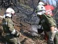 Viele Waldbrände sind durch Unachtsamkeit von Menschen verursacht. © Hermann Kollinger