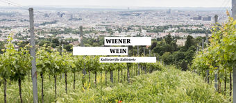 Partner Website Wiener Wein © http://www.karinnussbaumer.com/