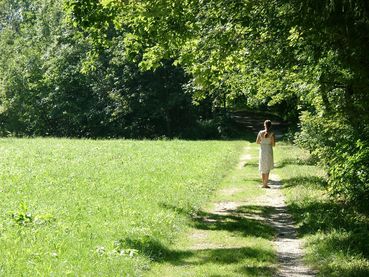 Überhängende Pflanzen. © LK OÖ Überhängende Pflanzen. © LK OÖ