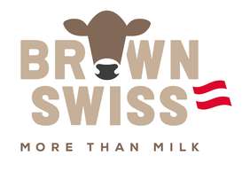 Logo Brown Swiss